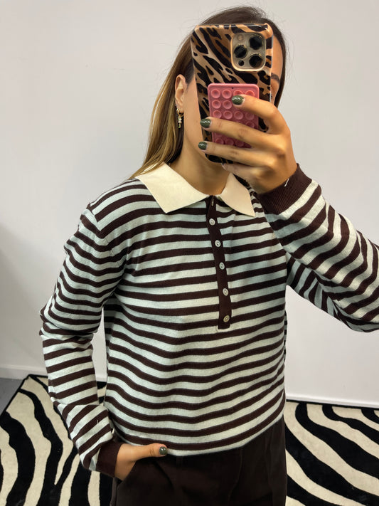 Polo Azul e Castanho