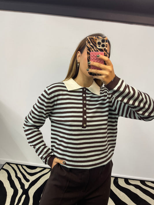 Polo Azul e Castanho